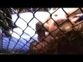 WEC - Urijah Faber vs. Mike Brown