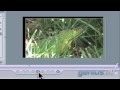 Image stabilization and tracking with Apple Motion