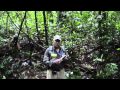 Canamex Resources  video