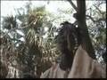 Guinea C - Suca debo