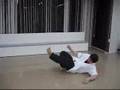maemawari-ukemi 前廻受身 jyuken-raishin kai 柔剣雷心会