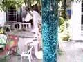 Blue Moving Bed Column