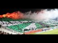 OMONOIA GATE 9 Fanatics