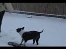 Mom in snow