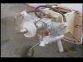 DZY 48cc engine