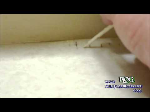 how to touch up appliance paint