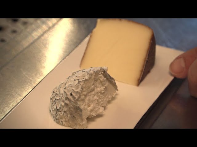 no limit - Rohmilchkäse kennt kein Verfallsdatum!