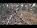 Click here to watch this video Tallarook hill climb may 2012
