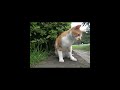 _H_D_test04