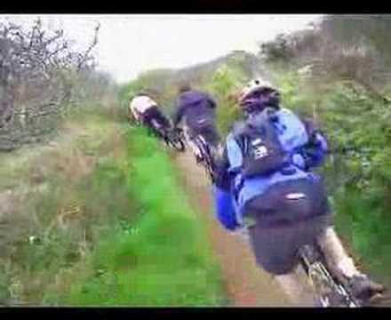chain reaction cycles