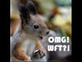 Chipmunk
