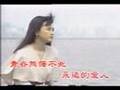 鳳飛飛-追夢人