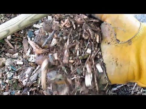 how to fertilize over mulch