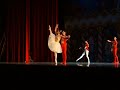 Nutcracker 2007