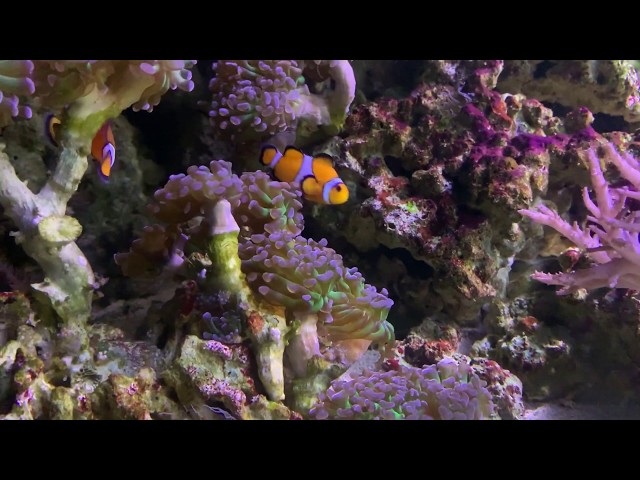 VideoPoster1280x720