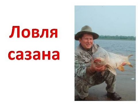 сазан его ловля с лодки сазан его ловля с лодки