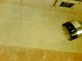 Shower bising