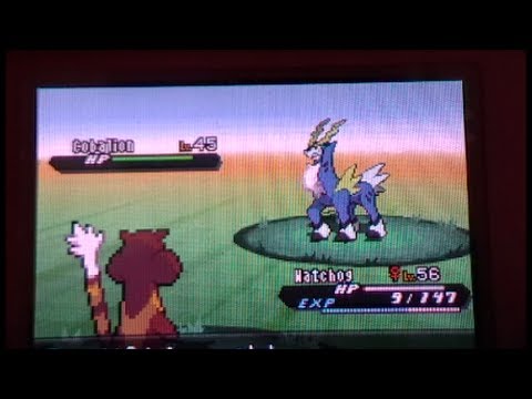 how to sr pokemon black