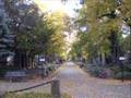 videos de Na hřbitově / At a cemetery