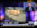 Dr. Cryan interview on ABC WJLA Dr. Cryan interview on ABC WJLA