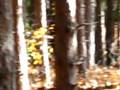 videos de JD trail riding 3