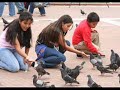 Naufrago de amor Julio Jaramillo