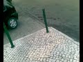 portuguese jaguar