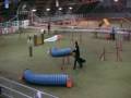 videos de Cayenne Jumping 1 Voghera 050109