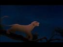 Lion king 2 (Kiara & Kovu)- Farewell