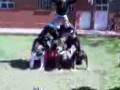videos de piramide humana unlp