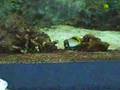 Under-Sea-World
