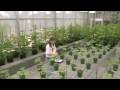 The World According to Monsanto (2008)