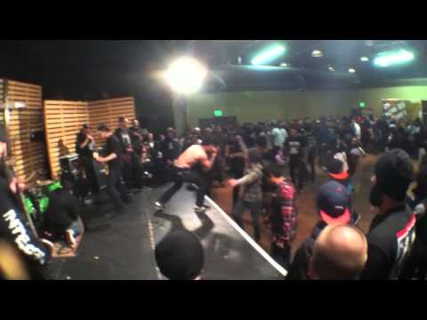 how to isolate eyebrows