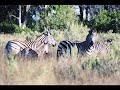 Africa Trip Pics 2006