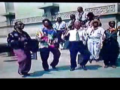 zaiko langa langa familia dei zaiko langa langa familia dei