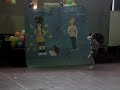 pokemonas vs pelolais 8 basico alianza roja