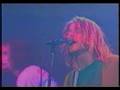 Nirvana Territorial Pissing