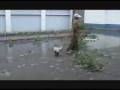 videos de Ураган в г. Семей (Казахстан)