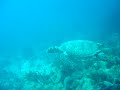 St Eustatius Video