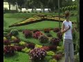Camino a Puntarenas, entre San Ramón y Alajuela puede visitar un lugar pequeño pero muy atractivo donde hay mariposas morpho y tambien puede apreciar unas formaciones que hicieron con flores en una montaña anexa.