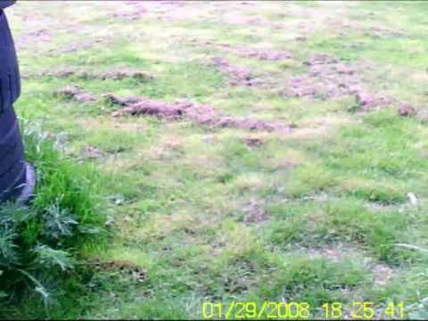 Green Zone Combat Airsoft Centre, Armagh - Gun Cam 2