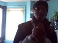 How to Rap Savage Emcee Battle Rap - Quon Logic How to Rap Savage Emcee Battle Rap - Quon Logic
