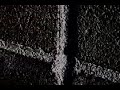 nod's second music video created by seniors at mandeville high school