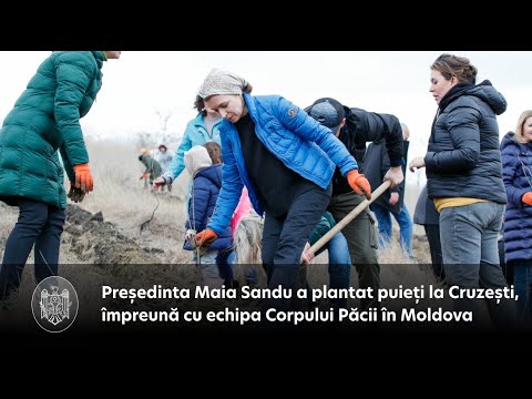 Președinta Maia Sandu a plantat puieți la Cruzești, împreună cu echipa Corpului Păcii în Moldova