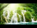 Most relaxing Music ever - Rain Forest Meditation