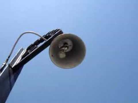 bell