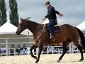 petite d�mo rigolote de andy booth et thierry lhermitte jouant au chat � cheval bridleless pour les rencontres �thologiques 2009 de la cense. bonne humeur assur�e !