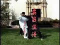 Self Defense Techniques Lijun Wang