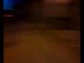 videos de pavo aventuras
