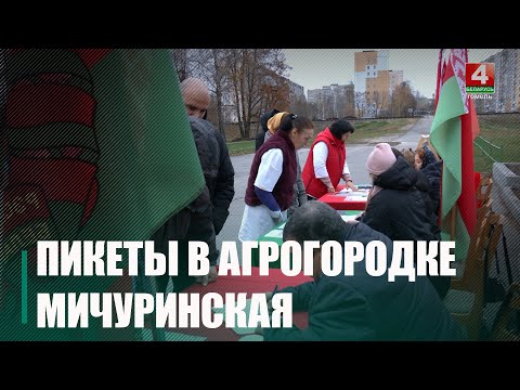 У Беларусі ідзе збор подпісаў у падтрымку кандыдатаў на выбарах прэзідэнта Рэспублікі Беларусь видео
